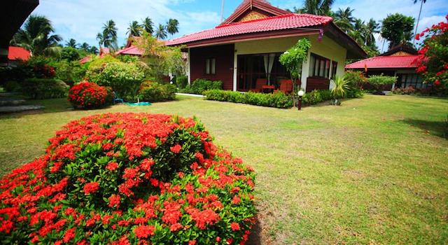 Тропический сад возле отеля всегда в цвету